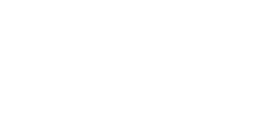 S_FLEX