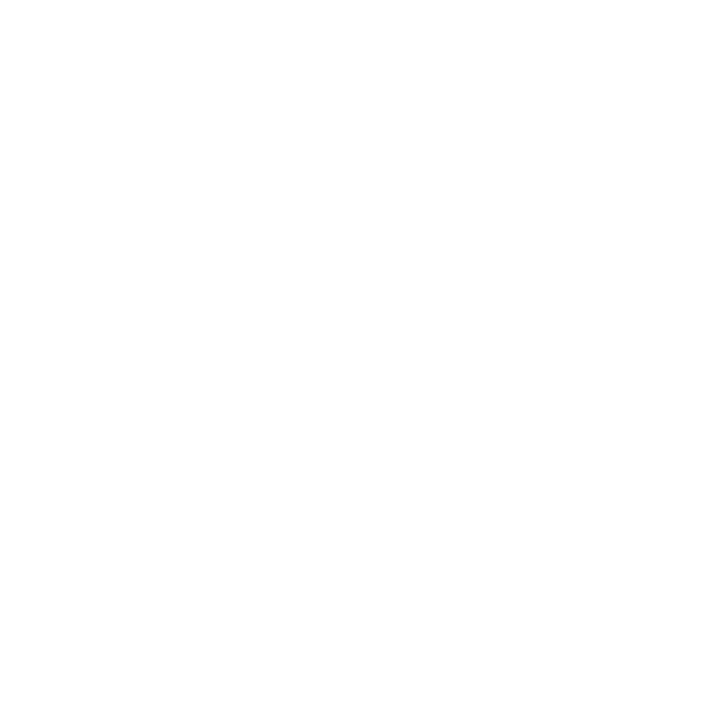 S_HOME-DEPOT