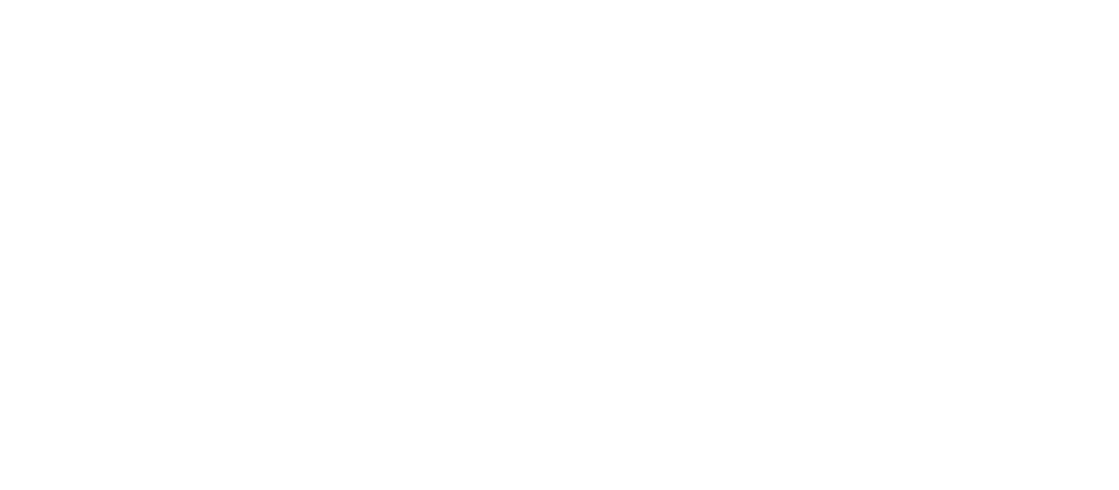 S_MICHELIN